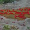A hand made organza and silk rose petal "will you marry me sign"